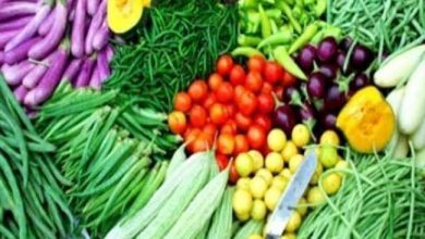 Photo of हरी सब्जियों के दाम सुनकर आम लोगों की चेहरे खिले लेकिन किसानों के चेहरे पड़े पीले