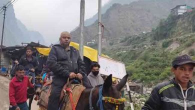Photo of चारधाम यात्रा में यमुनोत्री धाम में  डंडी कंडी और घोड़ा-खच्चर संचालक हो रहे बेलगाम,निर्धारित किराये से चार से पांच गुना अधिक