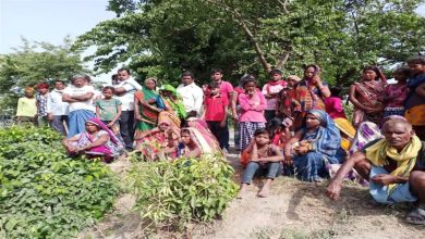 Photo of सुलतानपुर में युवक की गोली मारकर हत्या,नाले के पास मिला शव, छह बच्‍चों के सिर से उठा पिता का साया