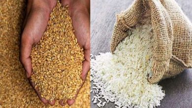 Photo of आप भी अपने राशन कार्ड में जल्दी करवाए ये जरूरी अपडेट, वरना होगा बड़ा नुकसान