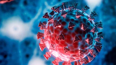 Photo of कोरोना महामारी के बाद चीन में अब एक और वायरस का प्रकोप शुरू