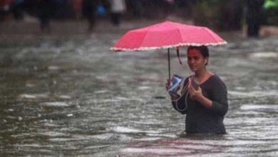 Photo of उत्तर  प्रदेश के 40 जिलों में आज रविवार को बारिश के आसार, येलो अलर्ट जारी
