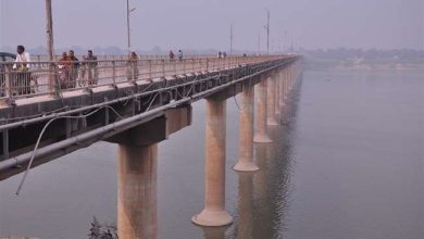 Photo of गंगा में मिले तैरने वाले पत्‍थर की जांच करने जाएगी  जियोलाजिस्‍ट..