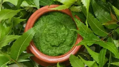 Photo of जानिए नीम फेस पैक स्किन पर इस्तेमाल करने के फायदे