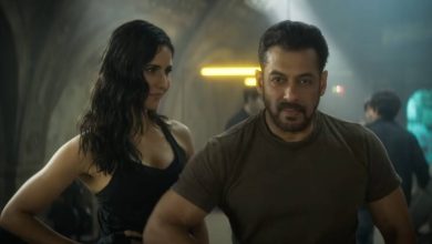 Photo of जानिए  Tiger 3 फिल्म की अब नई रिलीज डेट..