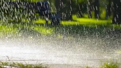 Photo of जानिए इन राज्यों में भारी बारिश का अलर्ट जारी..