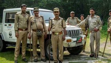 Photo of जानिए उत्तर प्रदेश में वन दरोगा भर्ती के आखरी दिन कब..
