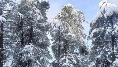 Photo of तमिलनाडु समेत कई राज्यों में बारिश का अलर्ट ,पहाड़ों में बर्फबारी और शीतलहर भी शुरू…