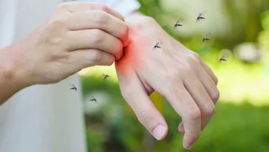 Photo of जानिए किन चीजों से घर में नहीं आएँगे मच्छर,जानें?