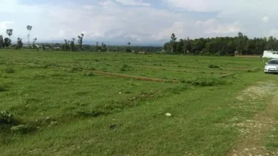 Photo of उत्तराखंड में सरकार सर्किल रेट बढ़ाने की तैयारी कर रही,  जिलाधिकारियों से मांगे गए प्रस्ताव