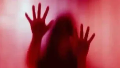 Photo of भाभी के साथ दुष्कर्म करने के आरोप में पुलभट्टा पुलिस ने देवर के खिलाफ दर्ज किया केस