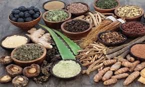 Photo of आयुर्वेद आधारित जीवनशैली अपनाकर कैसे रहा जा सकता है इस मौसम में निरोगी..