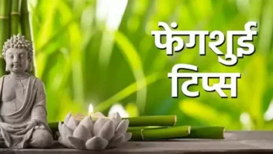 Photo of करियर में सफलता पाने के लिए जानें ये कुछ बेहद साधारण से फेंगशुई टिप्स…