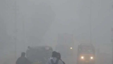 Photo of बीते दस वर्षों में सबसे कम ठंड वाला साबित हो रहा दिसंबर..