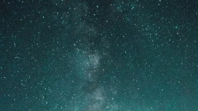 Photo of 14 और 15 दिसंबर को होनी है उल्कापिंडो की बारिश, जानें कैसे देख सकेंगे ये नजारा