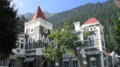 Photo of HC ने शक्तिमान घोड़े की मौत के आरोपियों को सजा दिलाने को लेकर दायर याचिका पर की सुनवाई