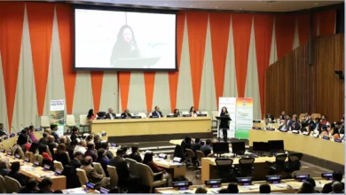 Photo of राजनितिक सुविधा के आधार पर आतंकवादियों को बुरा या अच्छा के रूप में बांटने का काम होना चाहिए बंद’: UNSC 