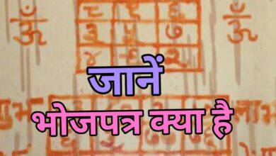 Photo of भोजपत्र का करें इस्तेमाल और जीवन की कई परेशानियों से पाएं निजात, जानें इन उपायों के बारे में…