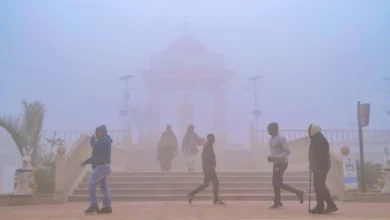 Photo of ठंड और घने कोहरे ने आम जनजीवन को किया अस्‍त-व्‍यस्‍त, सड़क, रेल और हवाई यातायात हुए प्रभावित
