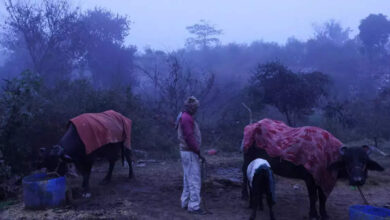 Photo of पटना का न्यूनतम तापमान 7.2 डिग्री हुआ दर्ज, दिन में कुछ देर के लिए निकली धूप