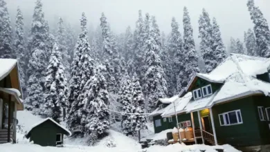 Photo of न्यूयॉर्क में काफी बर्फबारी की संभावना है जिससे 50 सालों का  टूट सकता है रिकॉर्ड..