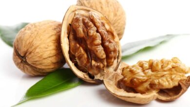 Photo of अखरोट खाने से शरीर को मिलने बेहद चौंकानें वालें फायदें, जानें किस तरह और कब खाना चाहिए