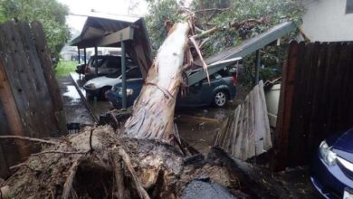 Photo of कैलिफोर्निया में तूफान की वजह से दो लोगों की मौत..