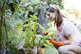 Photo of इन तरकीबों को करें ट्राय जो वाकई बना सकती हैं बागीचे को खूबसूरत..