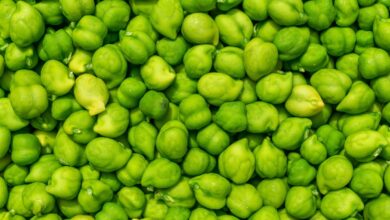 Photo of जानिए सर्दियों का सुपरफूड किसे कहा जाता है..