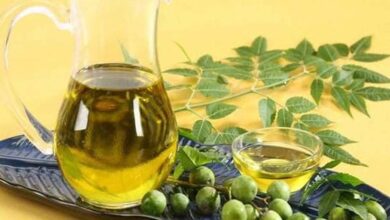 Photo of जानिए नीम का तेल बालों के डैंड्रफ की समस्या को दूर करने में होती है सहायक..