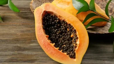 Photo of जानिए पपीते के बीज के 7 स्वास्थ्य लाभ..