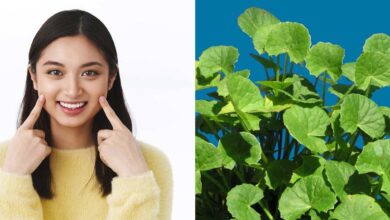 Photo of जानें त्वचा और स्वास्थ्य के लिए गोटू कोला के फायदे और नुकसान..