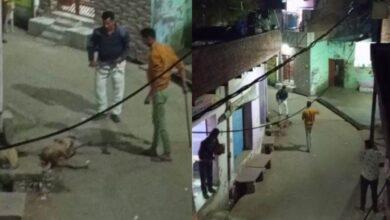 Photo of सोशल मीडिया में वायरल हुआ कुत्ता और उसके पिल्ले की पिटाई का वीडियो..