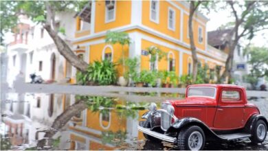 Photo of हम आपको बता रहे हैं भारत के 7 शहरों के बारे में जो रोमांटिक पल बिताने के लिए बेस्ट हैं..