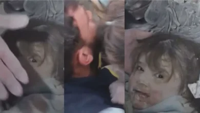 Photo of तुर्किये और सीरिया में इस बीच तीन दिनों तक मलबे में फंसी रही 6 साल की बच्ची को जिंदा मलबे से निकाला गया..