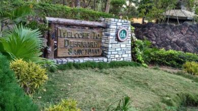 Photo of ओड़िशा में लोग बड़ी संख्या में वेकेशन पर घूमने के लिए देब्रीगढ़ वन्य अभयारण्य आते हैं..