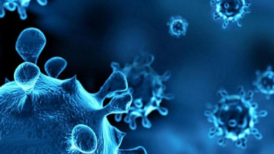Photo of असम में H3N2 influenza का पहला मामला सामने आया ,स्वास्थ्य विभाग स्थिति पर कड़ी नजर रख रहा..