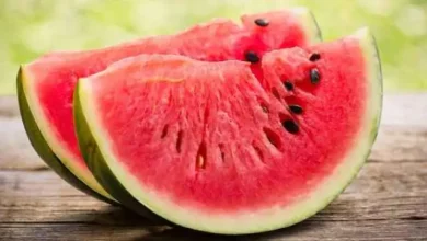 Photo of अगर आप अभी तक तरबूज के बीज के फायदों से अनजान हैं तो जानें इसके लाभ के बारे में..