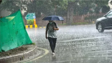 Photo of मौसम में एक बार फिर से बदलाव देखने को मिला,तो आईए जानें दिल्ली समेत इन राज्यों का मौसम अपडेट..