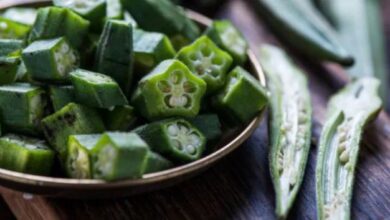 Photo of डायबिटीज के मरीजों के लिए भिंडी बेहद फायदेमंद मानी जाती है..
