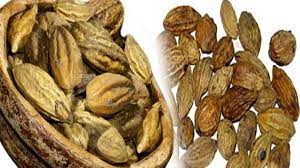 Photo of चलिए जानते हैं कि कब्ज़ के लिए हरड़ के फायदे क्या हैं और इसका इस्तेमाल कैसे करें..