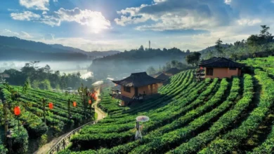 Photo of अगर आप भी गर्मियों में कहीं घूमने का प्लान बना रहे हैं,  जानें इस पैकेज से जुड़ी जरूरी जानकारी..