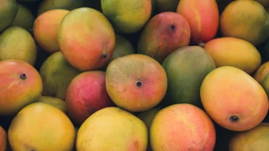 Photo of क्या डायबिटीज में आम खा सकते हैं?