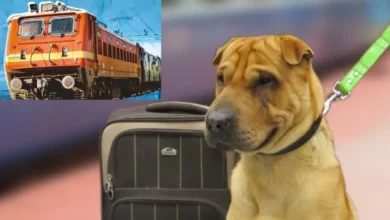 Photo of IRCTC अब ट्रेनों में यात्रियों के टिकट के अलावा यात्री के पालतू जानवरों में कुत्ता और बिल्लियों के भी टिकट बुक करेगा