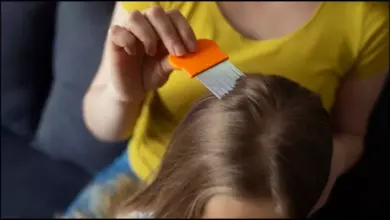 Photo of गर्मियों में क्यों होते हैं जूं? साथ ही आप इन तरीकों से इससे पा सकते हैं निजात..