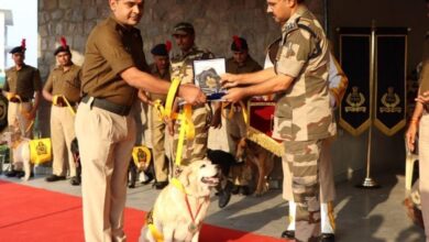 Photo of CISF के तीन स्निफर डॉग की आठ साल तक सेवा देने के बाद बुधवार को रिटायरमेंट हुई है..