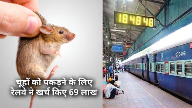 Photo of सुनकर लोगों के पैरों तले खिसकी जमीन, RTI में हुआ खुलासा 69 लाख खर्च कर रेलवे मंडल लखनऊ ने पकड़े 168 चूहे
