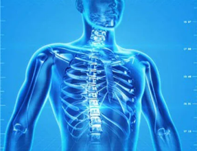 Photo of मानव शरीर की ये 10 रोचक बातें हैरान कर देंगी आपको