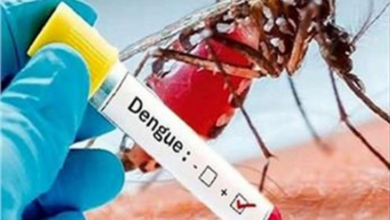 Photo of लखनऊ में डेंगू के रोजाना सामने आ रहे हैं 25 नए मामले