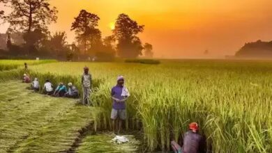 Photo of मोदी सरकार ने किसानों को उर्वरक पर मिलेगी 22 हजार करोड़ की सब्सिडी